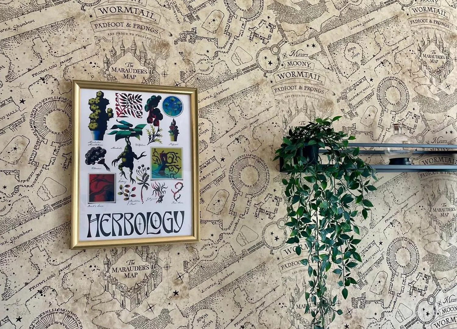 Appartement Harry Potter Experience à Marseille France
